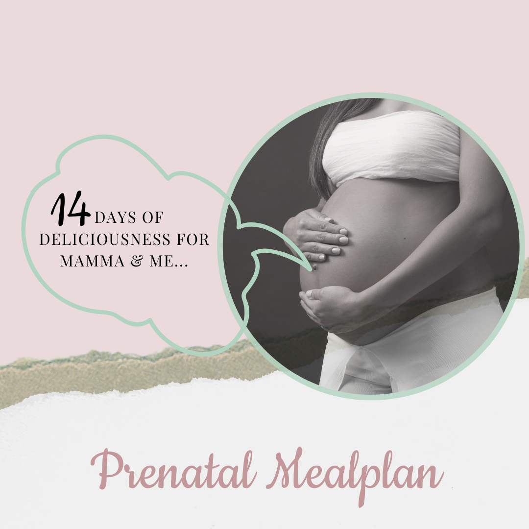 14-day-prenatal-meal-plan
